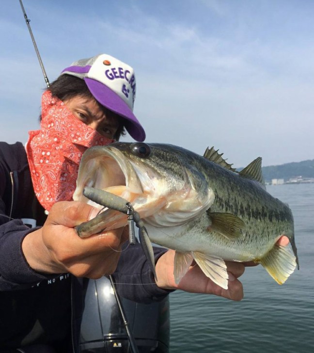 o0854096014211772232