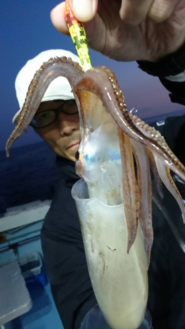 o0959170514206543624