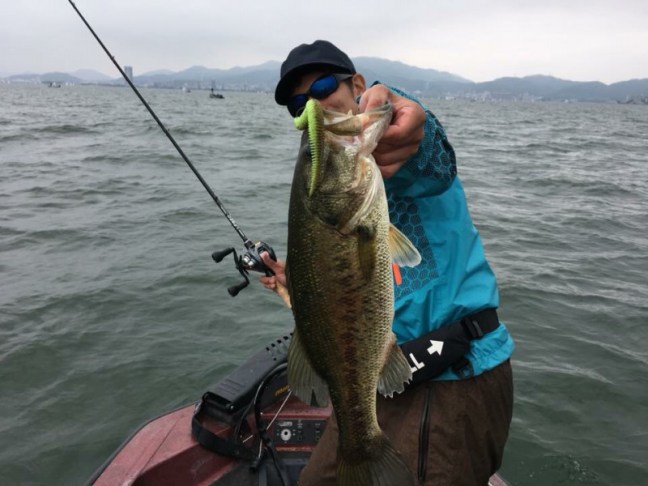 o0960072014209518299