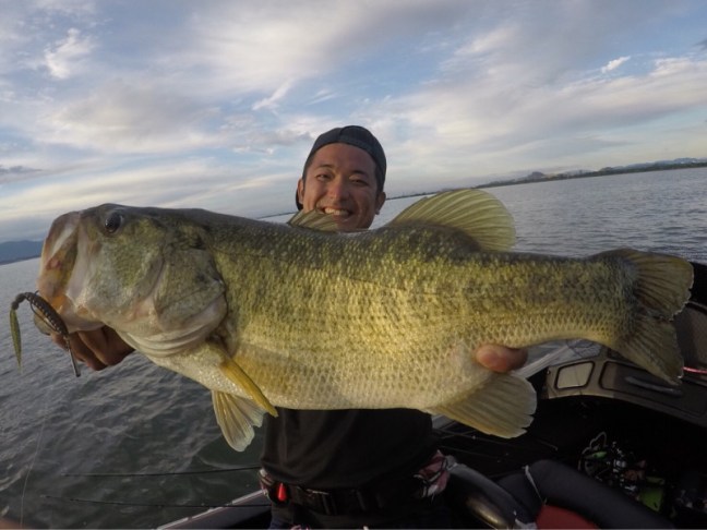 o1080081014213732785