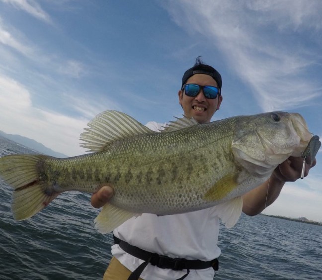 o1080094014204426444