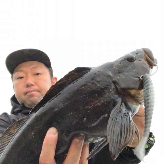 o1080108014217341321