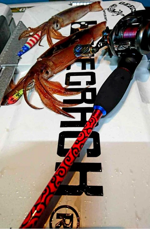 o0480073014238446871