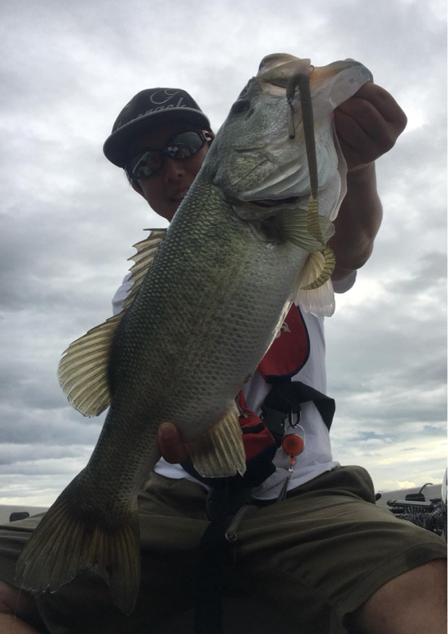 o0762108014222953124