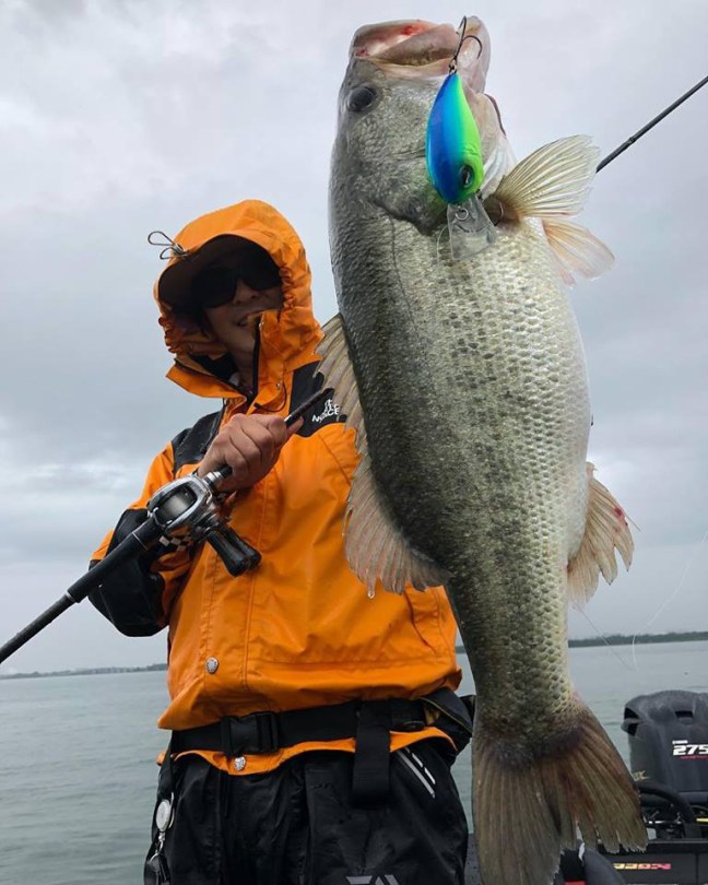 o0768096014224536766