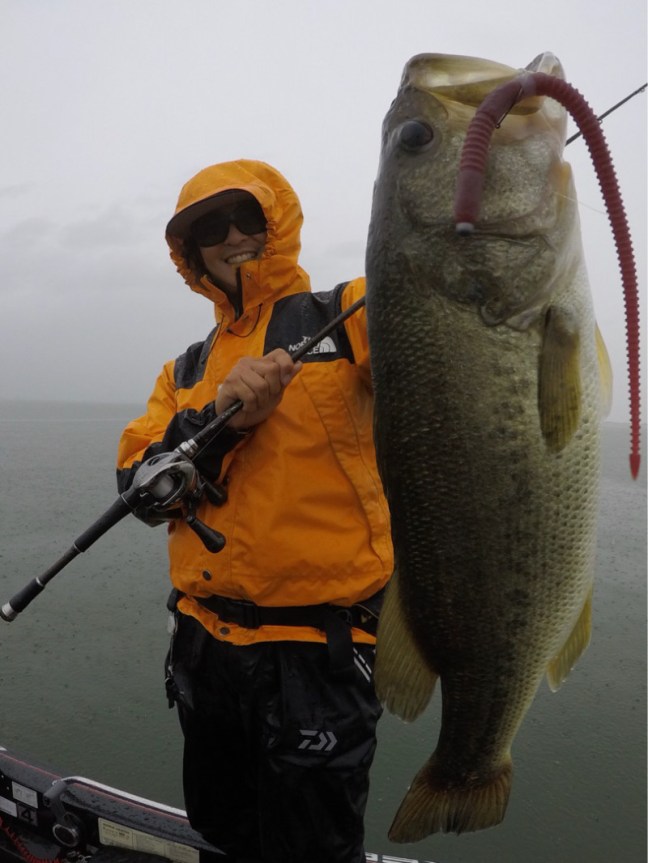 o0800106614225288051