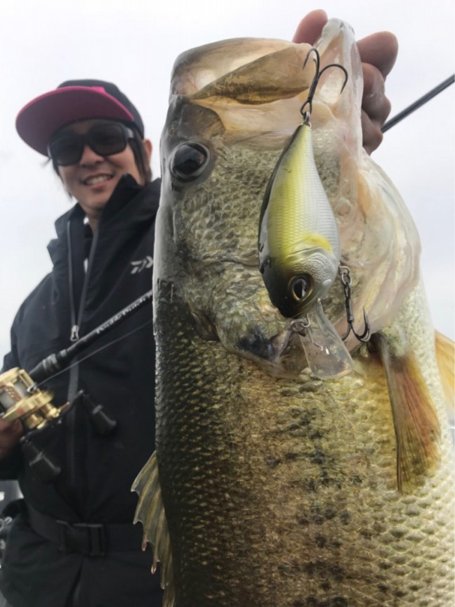 o0810108014198442706