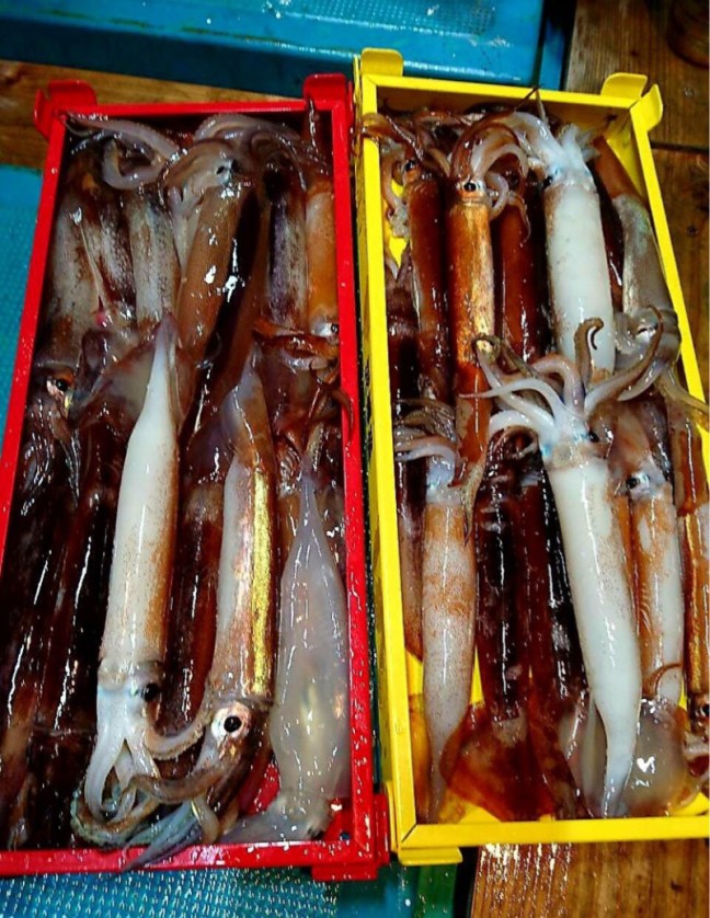 o0834108014226600080