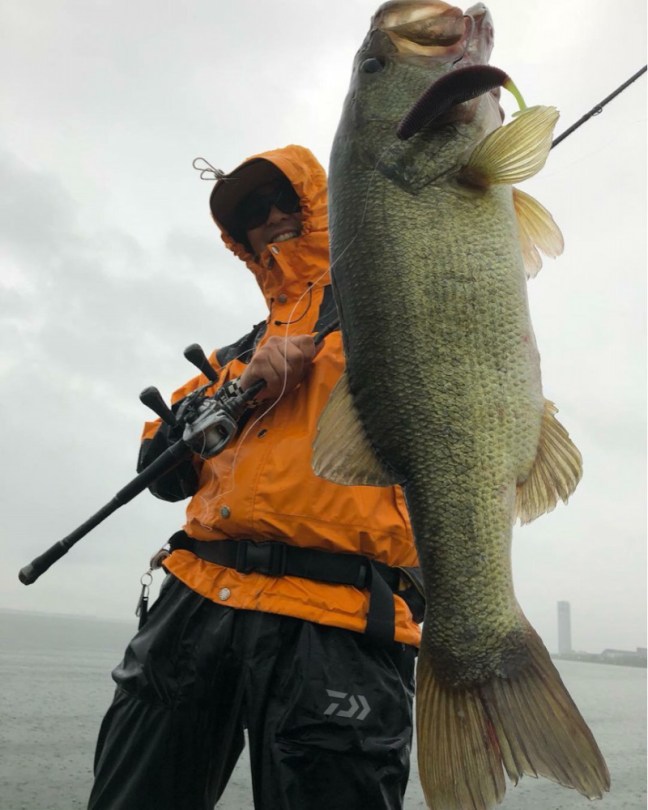 o0864108014224093818