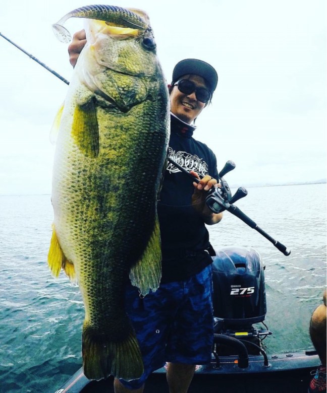 o0896108014220447014