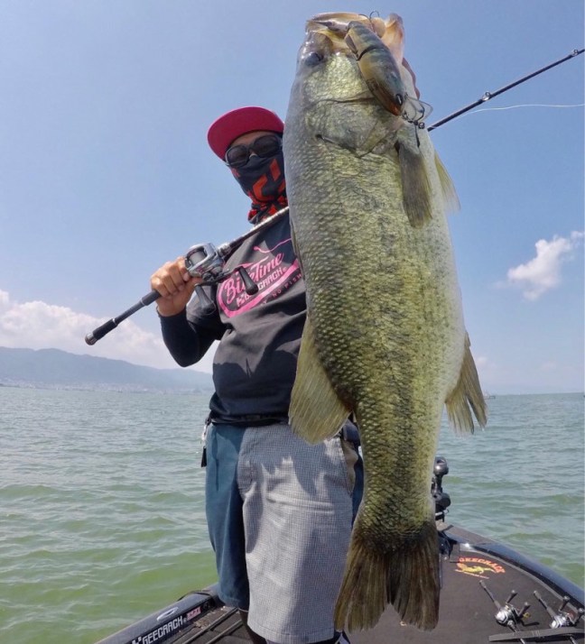 o0978108014236724174