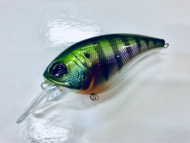 o1080081014228210233