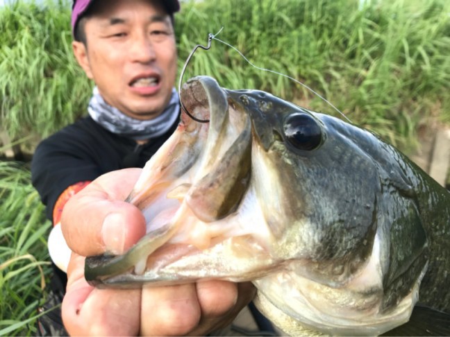 o1080081014238730773