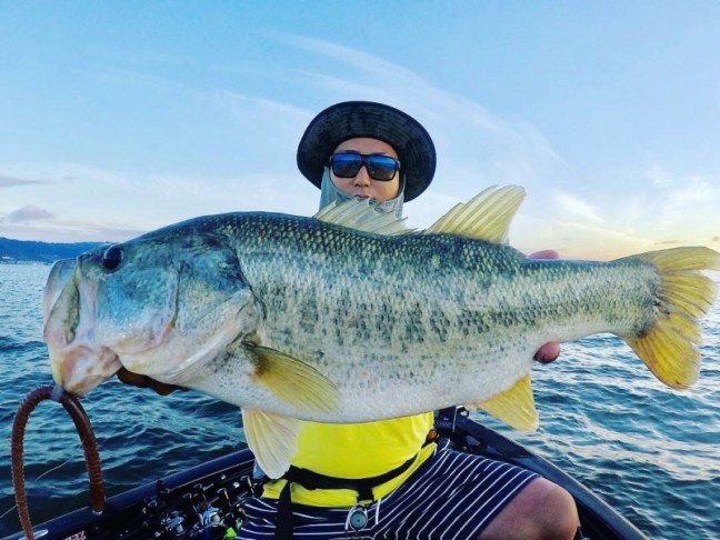 o1080081214226144744