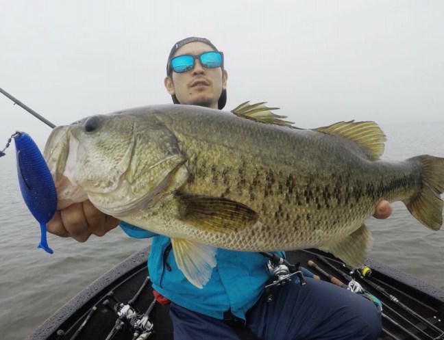 o1080082914220447012