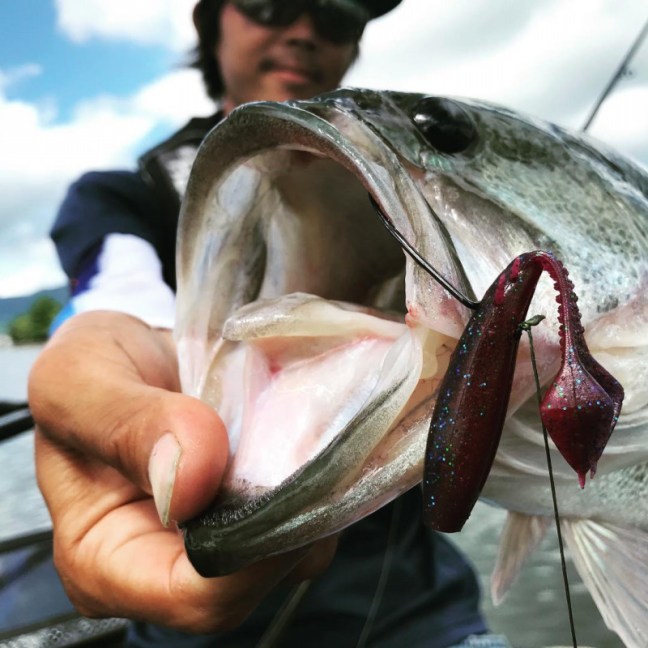 o1080108014224762542 (1)