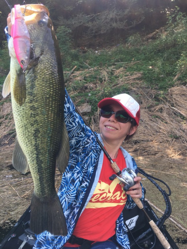 o1108147814231360777