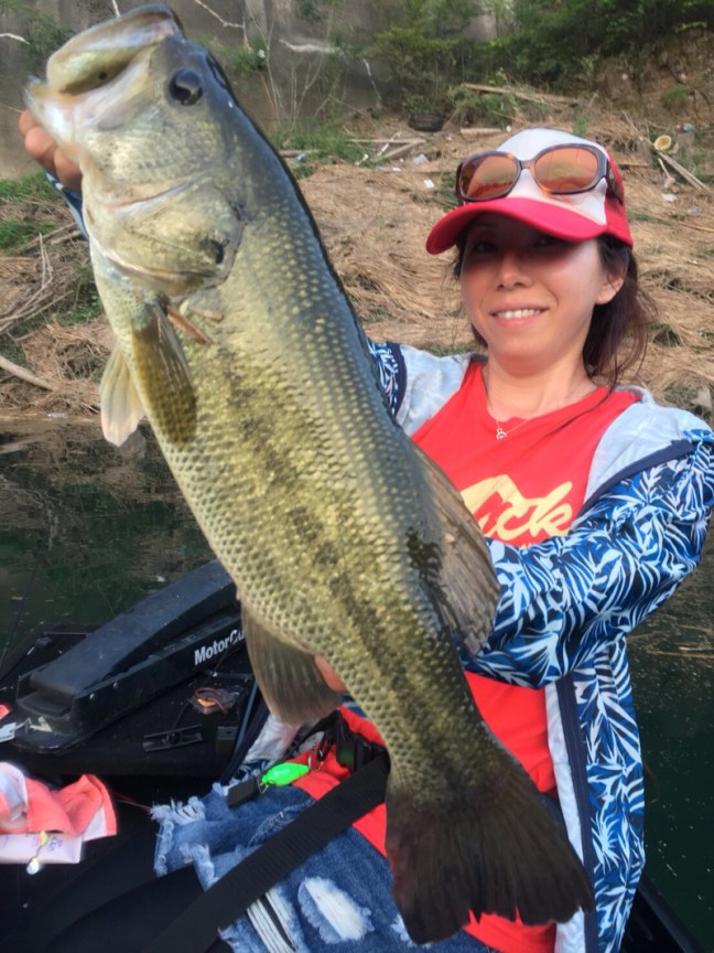 o1108147814231360871