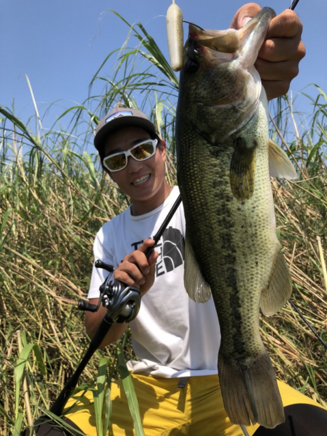 o1108147814231374506