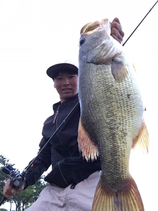 o1108147814231379122