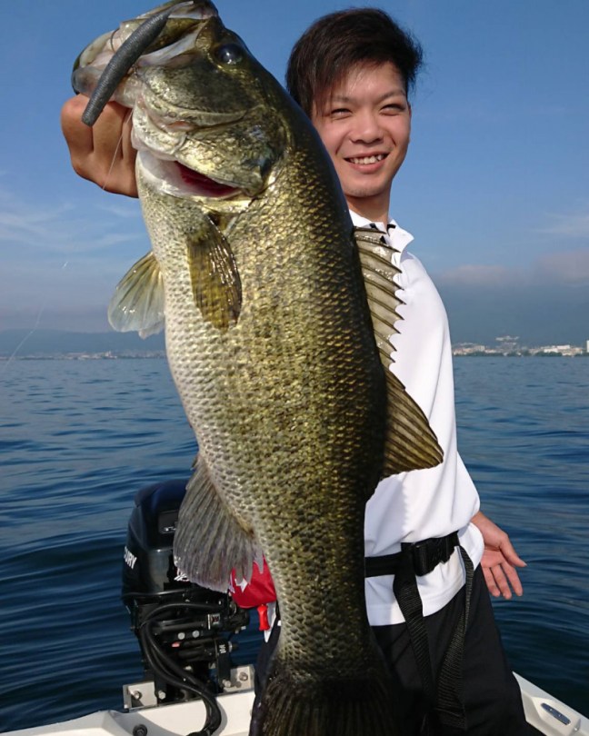 o1144143014231369383