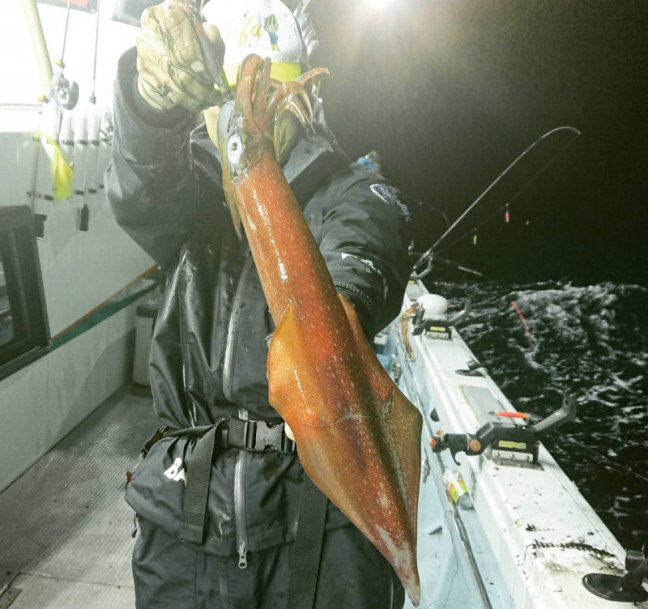 o1319124014224335367