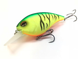 o0320024014241315032