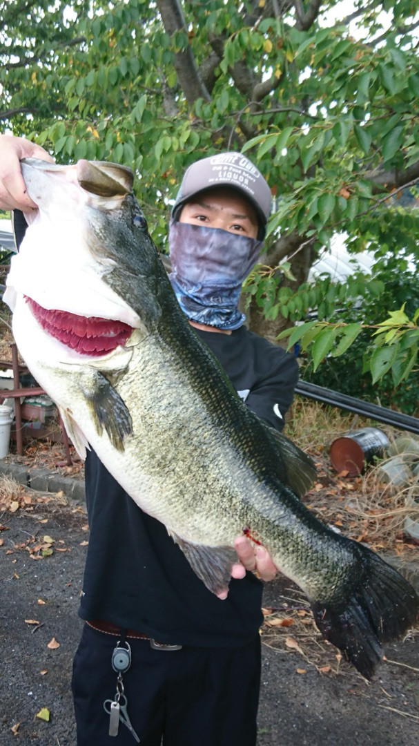 o0607108014253435385