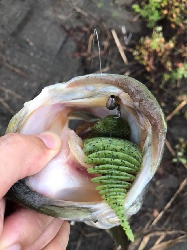 o0720096014252232889