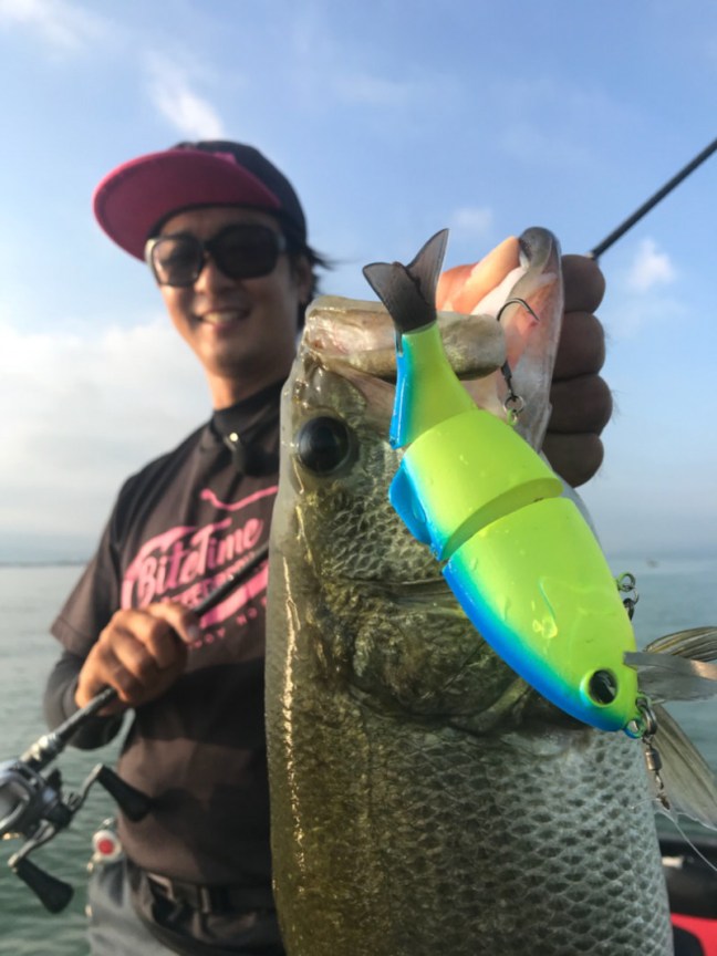 o0809108014256391910