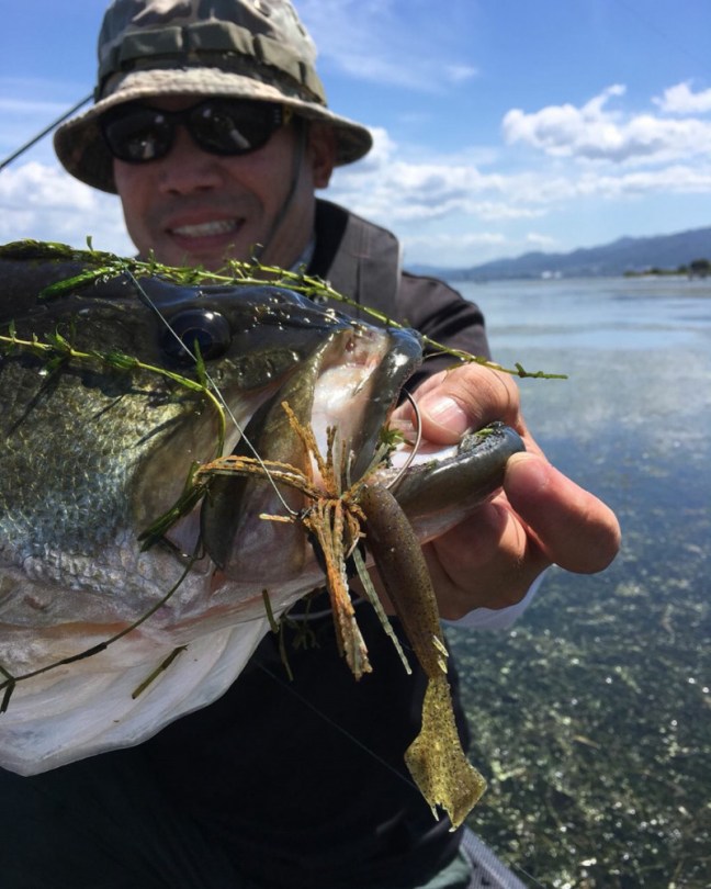 o0864108014249825042