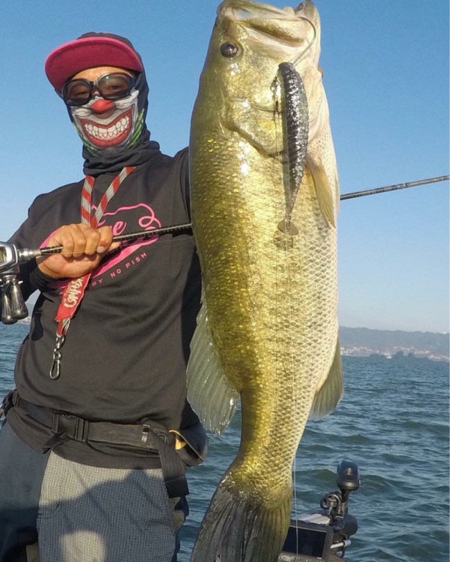 o0865108014241246273