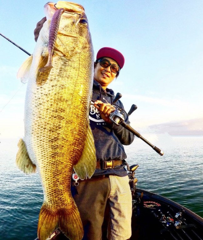 o0917108014250445852