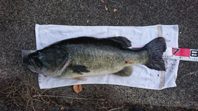 o1080060714253435393