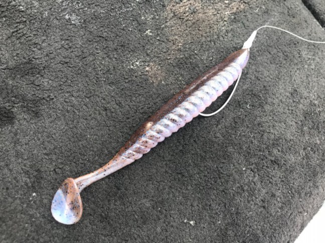 o1080080914256498533