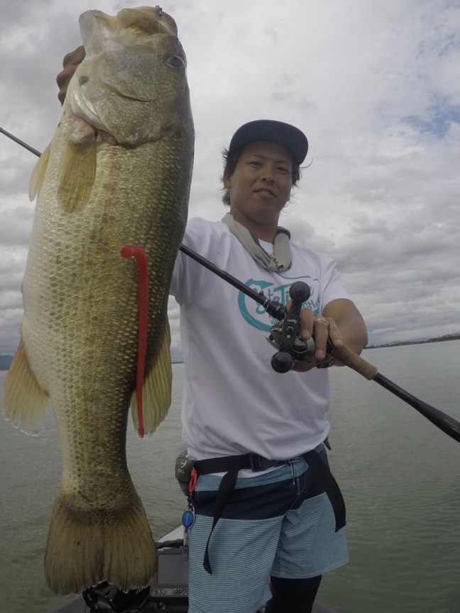 o1108147814250706243