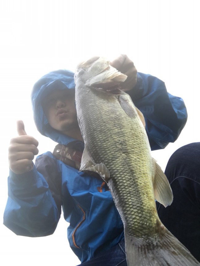 o1110147614250719081