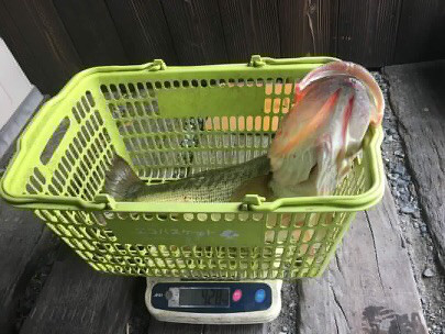 o0405030414273800417