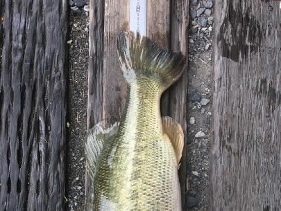 o0405030514273800410