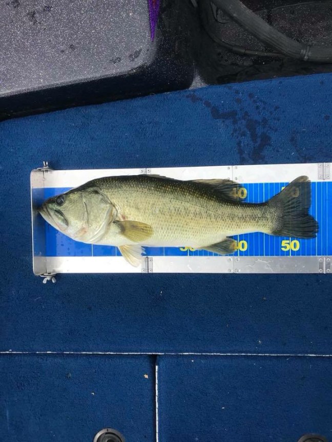 o0720096014266873897