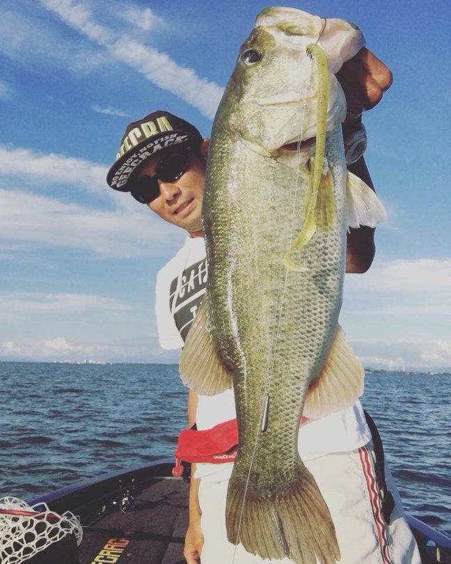 o0768096014265345602