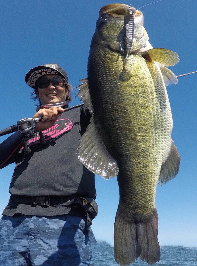 o0799108014268834184