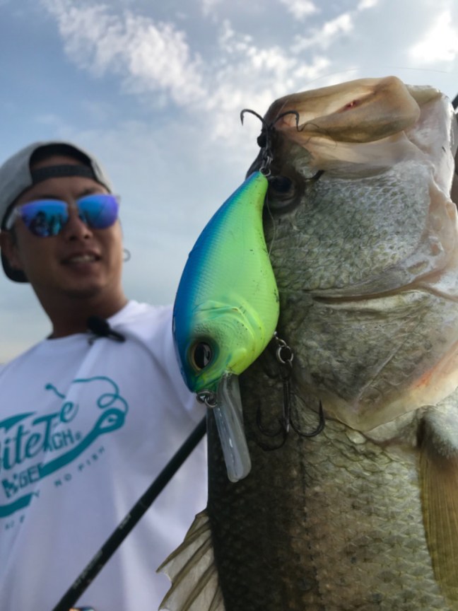 o0809108014261185711