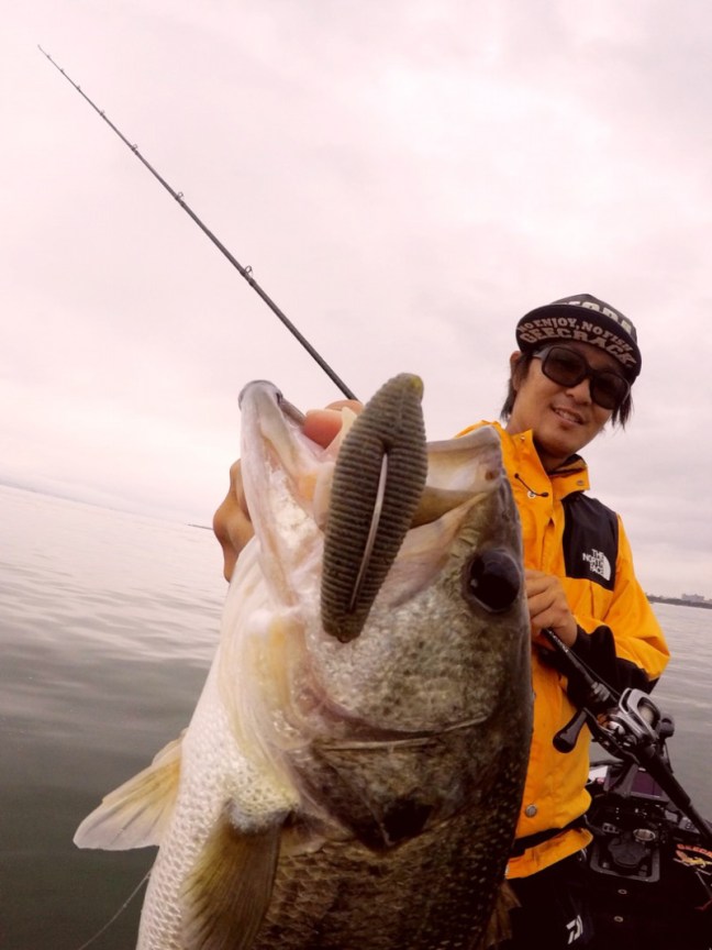 o0809108014266243338