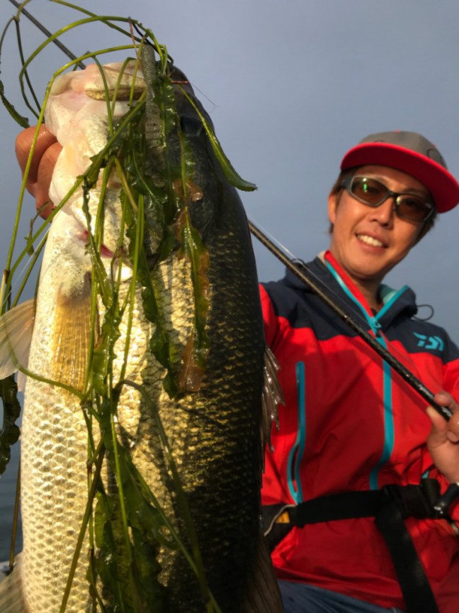 o0809108014272692609