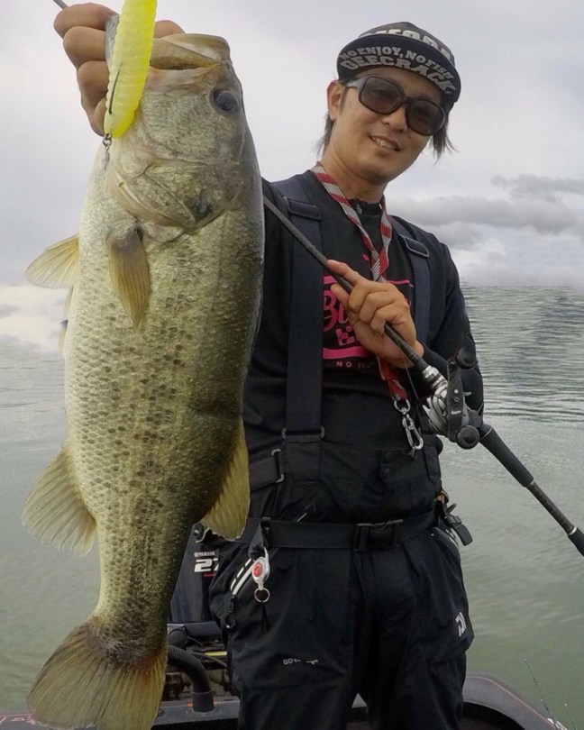 o0863108014264186293