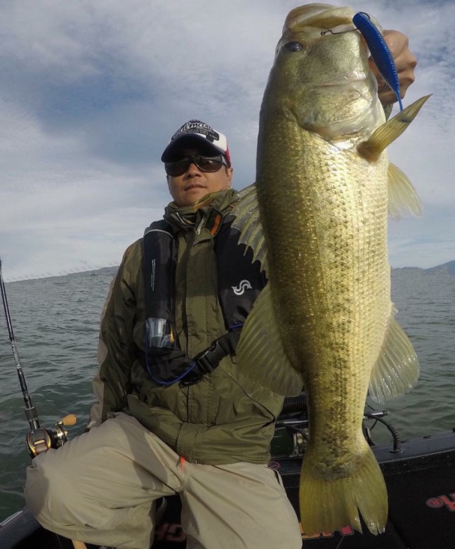 o0895108014264186249