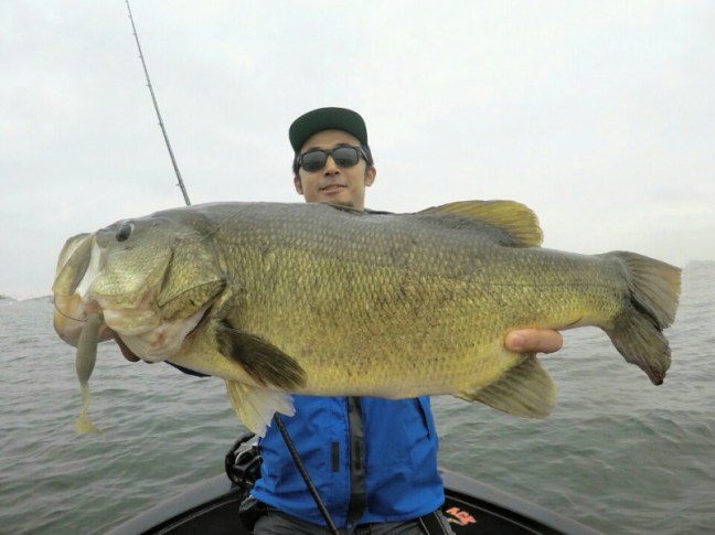 o0960071914266305915