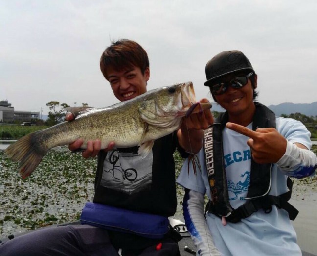 o0960077514262282206