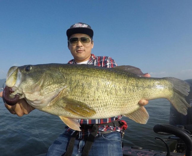 o0960078314268714804